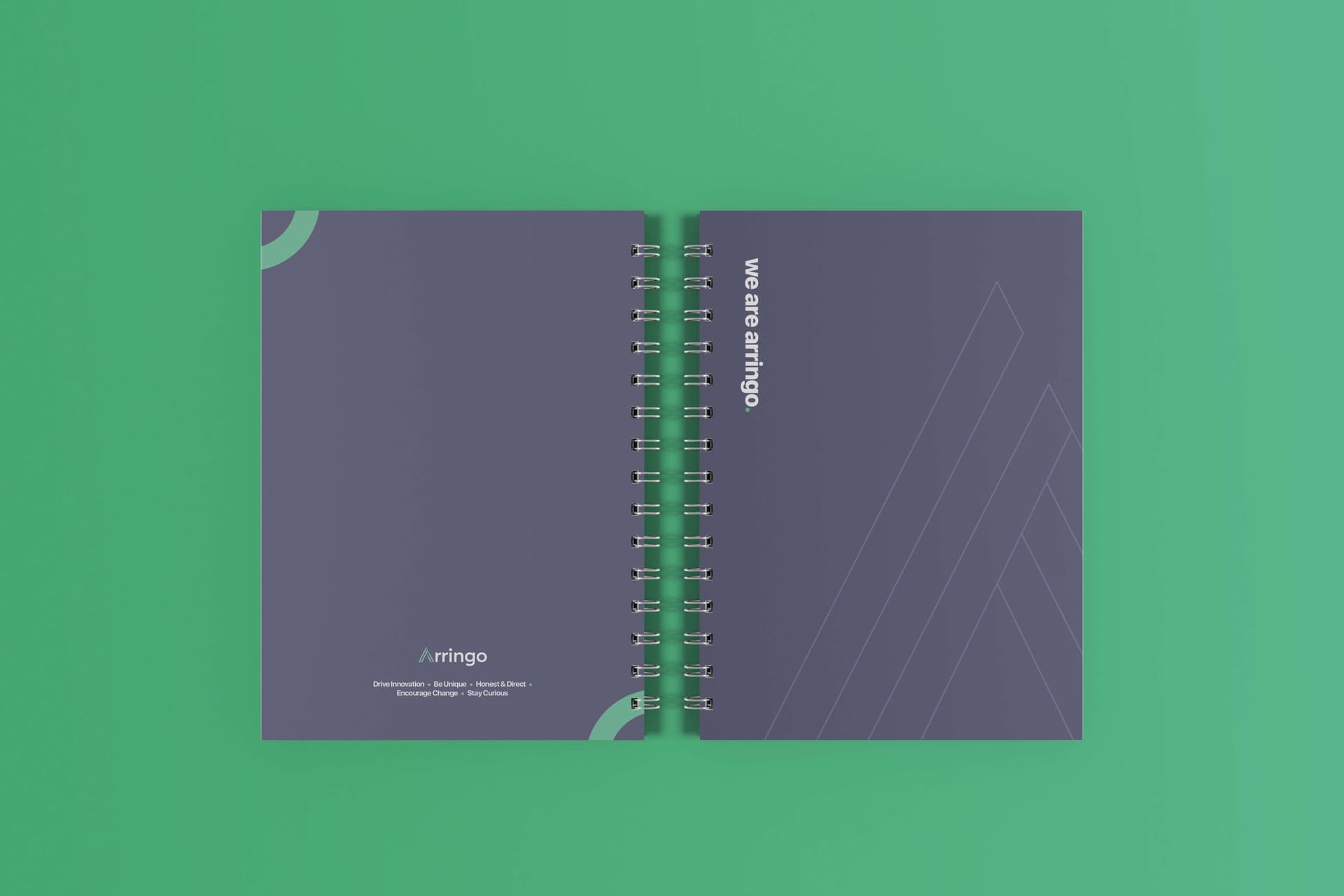 Arringo Book Cover Illustration