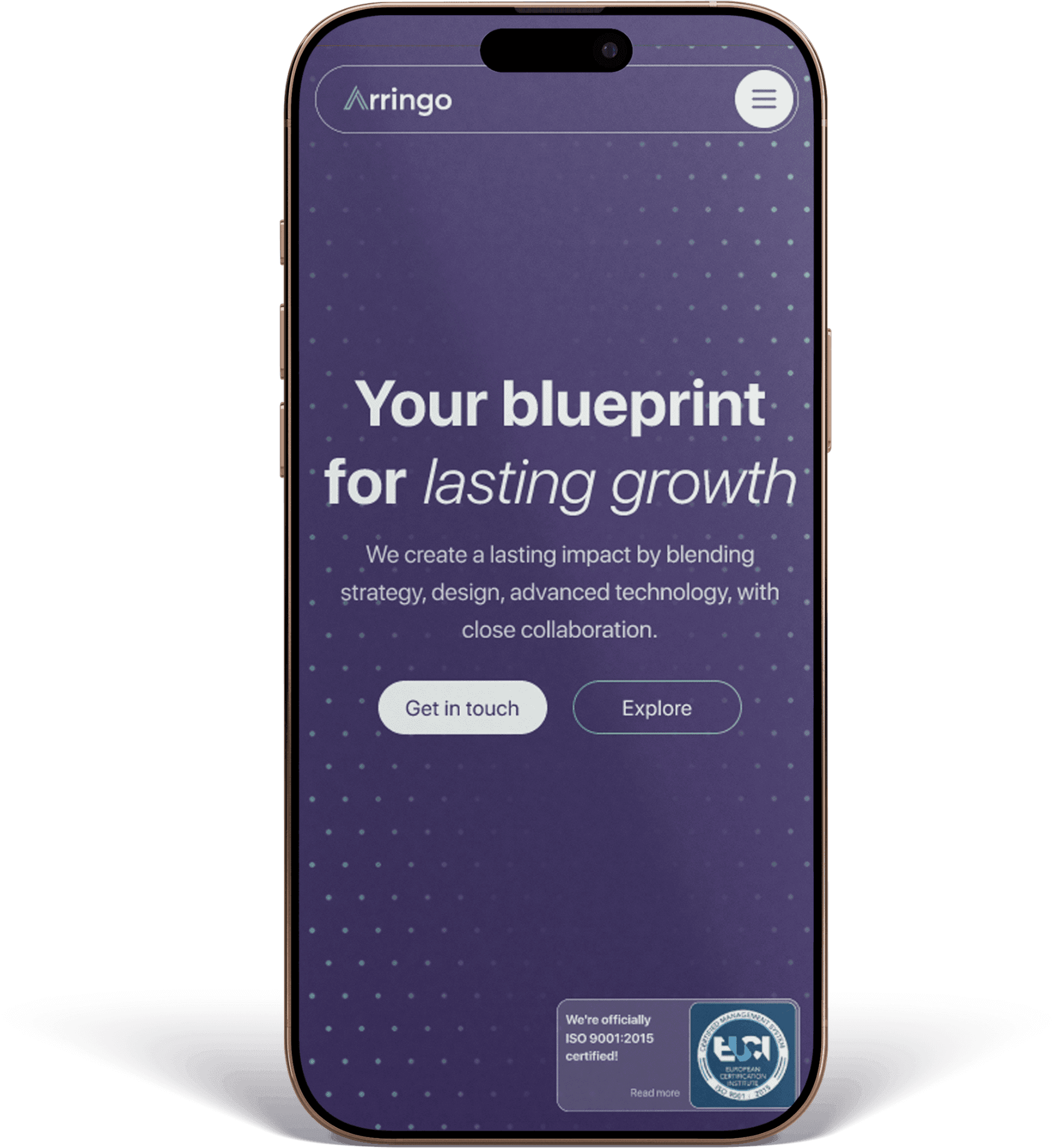 Arringo Website In Mobile Illustration